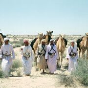 TheEmirofAl-Australis