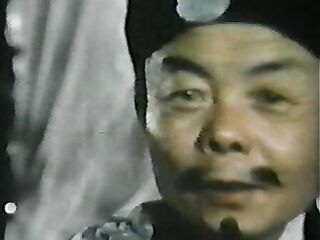 Cung Fu Cockfighter