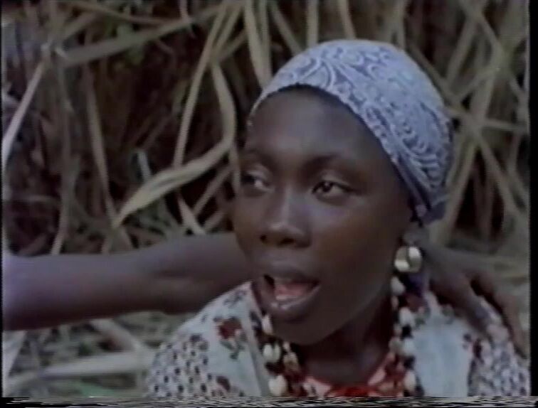 Wara 93: Rosettenstiche