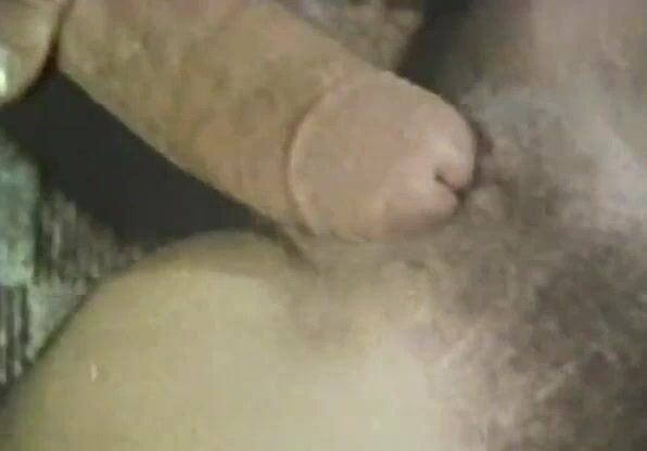 Collection Film 215: Tasting Tina. Most popular vintage xxx movies on allclassic.porn
