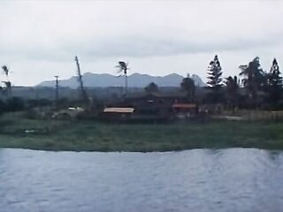 Island of Dr Love