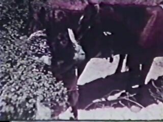 Pretty Girls 025: Horse Play