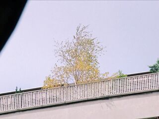 La femme objet