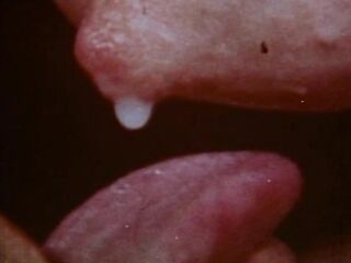 1970s Fuck Fest - Revenge Of The DD Dynamite Girls (Big Tit Loopland)