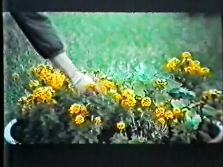 Teresa altri desideri