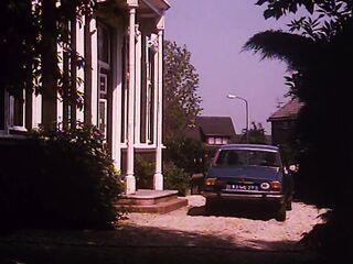 Pruimenbloesem / International Phone Sex Girls 2