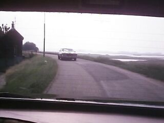 Pruimenbloesem / International Phone Sex Girls 2