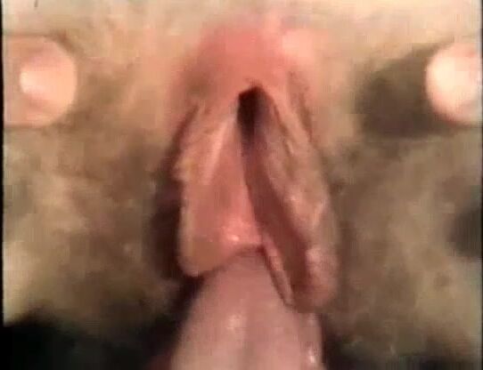 Pussycat Film 499: Stereo Screw