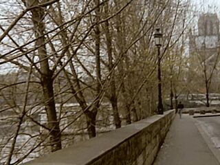 Supremes jouissances / Three French Hotties