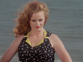 Dixie Ray Hollywood Star
