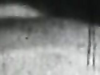 Attachment (French Stag Film)