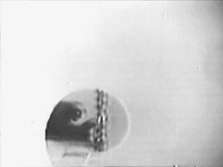 Bachelor Dream (American Stag Film)