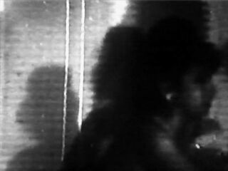 Bachelor Dream (American Stag Film)