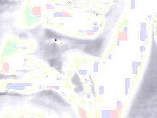 Housecleaners Score Time (American Stag Film)