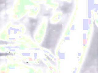 Housecleaners Score Time (American Stag Film)