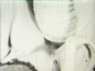 Mister Incognito (American Stag Film)