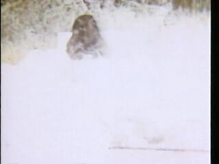 Nature Calling (American Stag Film)