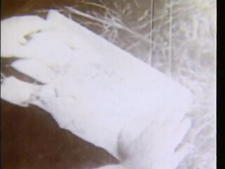 Nature Calling (American Stag Film)