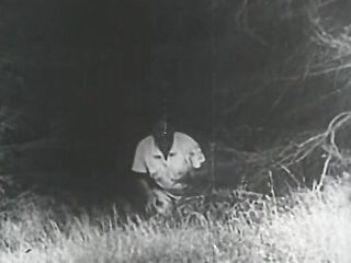 Pastoral Pleasures (French Stag Film)