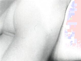 Rendez-Vous (American Stag Film)