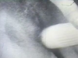 Wild Ones at Home v3 (American Stag Film)