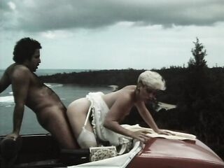 All American Girls 3: Heartthrobs