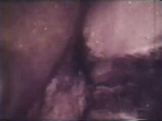 Afternoon Delight 15: Doctor’s Delight