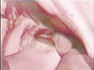 Afternoon Delight 28: Welcome Home