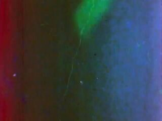 Danish Hard-Core 582: Pregnant Lust