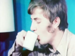 Danish Hard-Core 582: Pregnant Lust