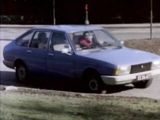 Danish Hard-Core 602: Young Flesh