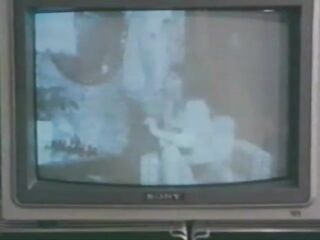 Danish Hard-Core 607: Video Orgy