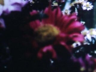 Diplomat Film 1010: Fat Molly