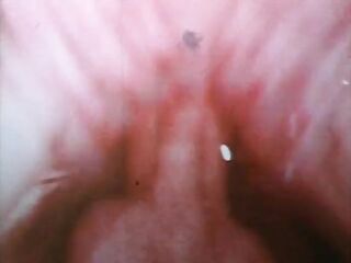 Diplomat Film 1028: Family Love