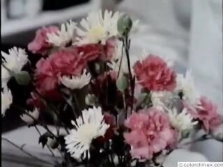 Diplomat Film 1034: Pregnant Fucker