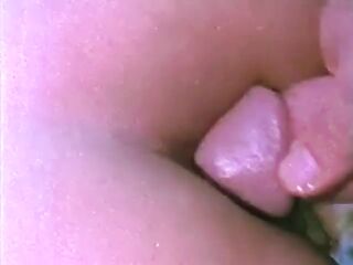 Diplomat Film 1035: Back-Hole-Humper