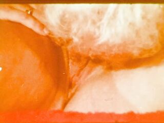 The XX Series 09: Sorority Sisters