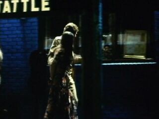 Virgin and the Lover