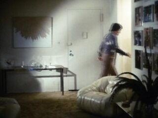 Virgin and the Lover