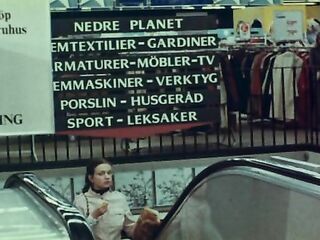 Anita: Swedish Nymphet / Anita – ur en tonårsflickas dagbok