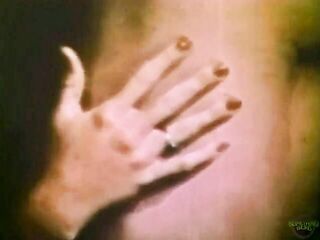 Swedish Erotica 010: Hollywood Starlet (John Holmes)
