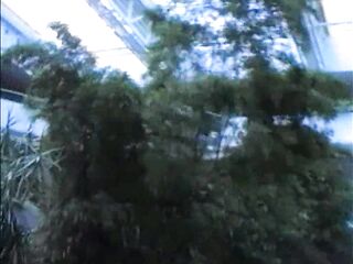 Excuse me... 3 - Seventeen