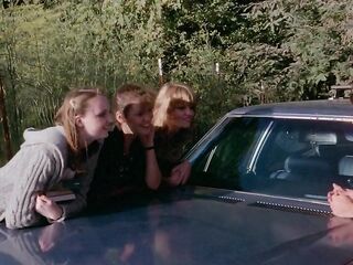 Three Ripening Cherries