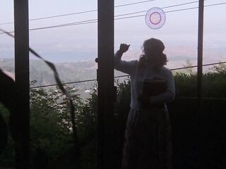 Three Ripening Cherries