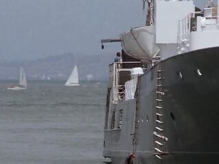 Three Ripening Cherries