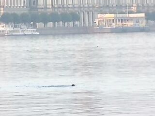 White Nights of St. Petersburg 2