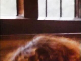 Lasse Braun Film 17: Country Life