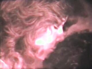 Collection Film 61: Ream Dream I (Jamie Gillis)