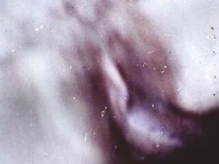 Sex Deviates 2: In The Ass… Please